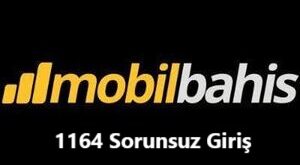 mobilbahis 1164